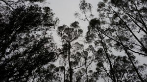 20140902_171750